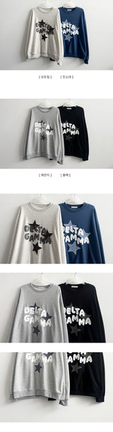 Dien Check Star Pattern Embroidery Sweatshirt