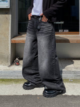 Amber Cat Brush Curved Denim Pants (Black)