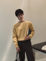 アンナブラッシュクロップニット