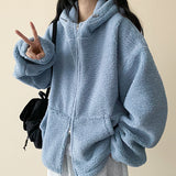 Lanit Boxy Popgle Fleece Hoodie Zip-Up