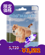 【limited price】Guma, Shiba Inu 
