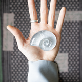 Ammonite Tok Standard_ Sparkle