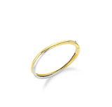 26SS★ [Premium Plating] Souvenir AB(C) Twist Bangle