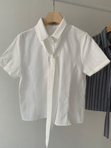 [MD PICK] Sugar tie sh (2color)