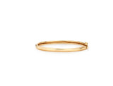 26SS★ [Premium Plating] Truvion AB Bangle