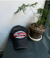 Pig Able Ball Cap