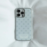Dot tint gray silver case