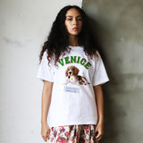 PWM-044 VENICE DOG