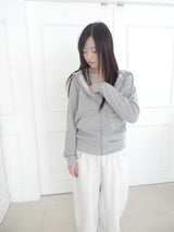 regular hood zip-up (4c)