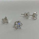 Tuia Earring