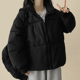 Basic High-Neck Padded Jumper