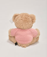 Message Teddybear [PINK]