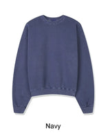 Piel Pigment Crop Sweatshirt