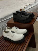 ASCLO Signature Derby Shoes (2color)