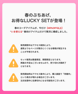 2026 LUCKY SET (Kleesier)