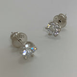 Tuia Earring