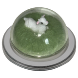 baby goat tok(magsafe)
