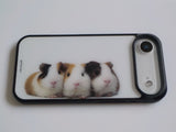 guineas pig case 