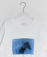 サニンホース半袖Tシャツ