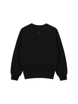 26ss SHAMONE embroidery sweatshirts 2color