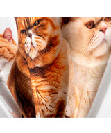 RG Fatty Cat Tee (Ivory)