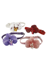[春] - Phalaenopsis choker (4color)