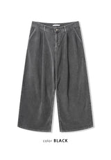 CORDUROY BACK POCKET PANTS (2C)
