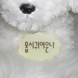 Youth Spirit Self-Esteem Quote Acrylic Smart Tok