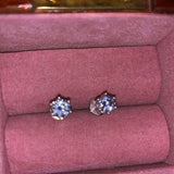 Tuia Earring