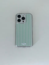 basket (green) case 