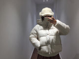 ウェロンハイネックフーデッドパディング (2color)