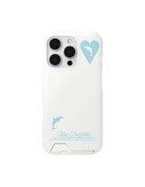 Dolphin Magsafe Card Storage Hard Case(Blue)