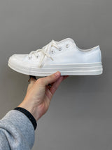 ASCLO White Canvas (Low)
