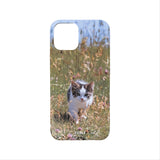 [spring kitten hard case]