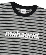 ストライプ ベーシック ロゴ Tシャツ グレー