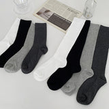 Middle Long Size 2 Socks Long Socks (24SO006)