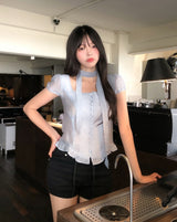 Delre Sheer Wrinkle Blouse