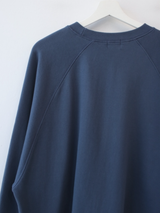boxy raglan crop sweatshirt 