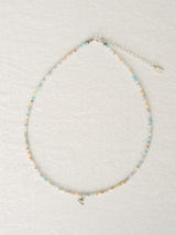 Silver925_Ocean Dolphin_N (Multi,Blue)