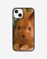 brown rabbit epoxy case