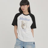 グルム イラスト ラグラン ハーフスリーブ Tシャツ