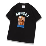 PWM-043 SUNSET DOG