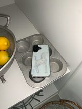 star horse case (silver bumper ver.)