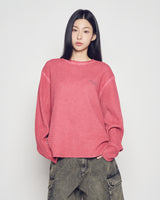 26SS ユーティリティダイイングデニムショートパンツ