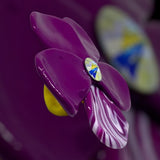 super big flower ring*金属アレルギー対応