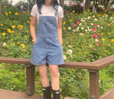 バーニーキッチクロプティ