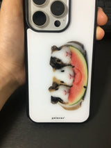ウォーターメロン ギニーピッグ ケース