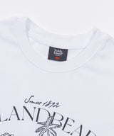 アイランドベアTシャツ