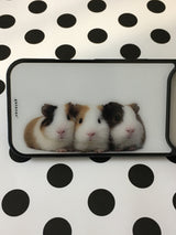 guineas pig case 