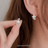 Matte Cubic Star Earring